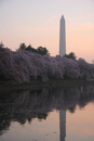 DC Spring 2012 - 028