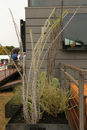 solar_decathlon-104-010