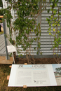 solar_decathlon-105-005