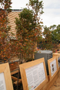 solar_decathlon-108-011