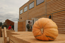 solar_decathlon-108-037