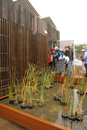 solar_decathlon-112-006