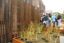 solar_decathlon-112-007