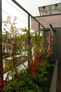 solar_decathlon-113-027