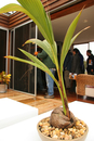 solar_decathlon-117-033