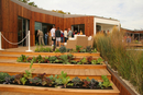 solar_decathlon-119-006