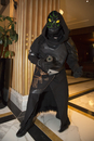MAGFest 2016 - Cosplay - 015