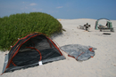 Assateague Island National Seashore