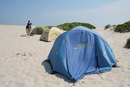 Assateague_002