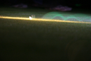 nightgolf_016